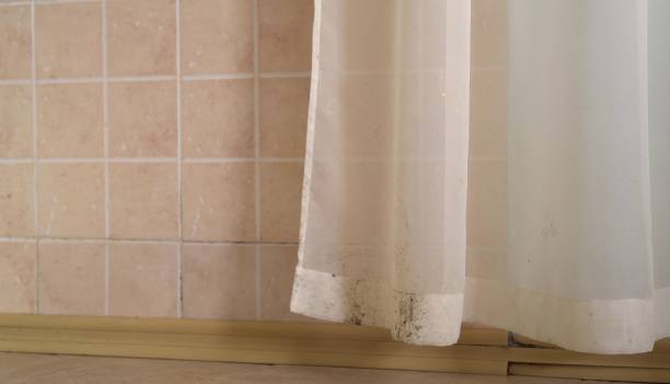 Best Mold Prevention Services  in Stallings, NC
