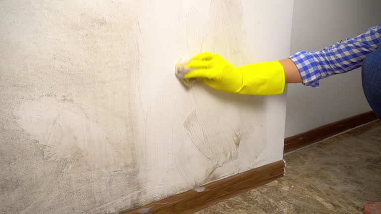 Best Air Quality Testing for Mold Spores  in Stallings, NC