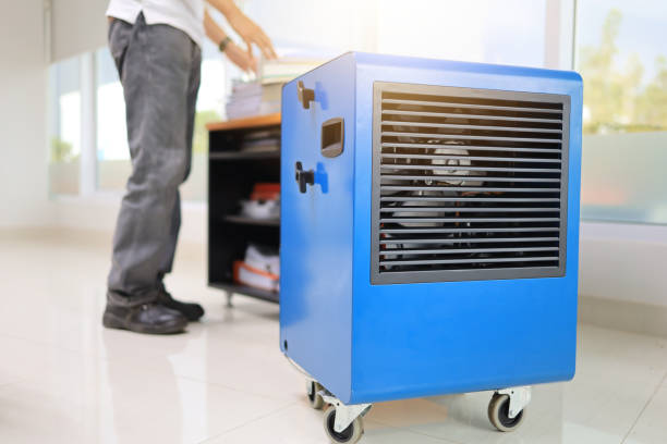 Best Environmental Consulting for Mold Prevention  in Stallings, NC
