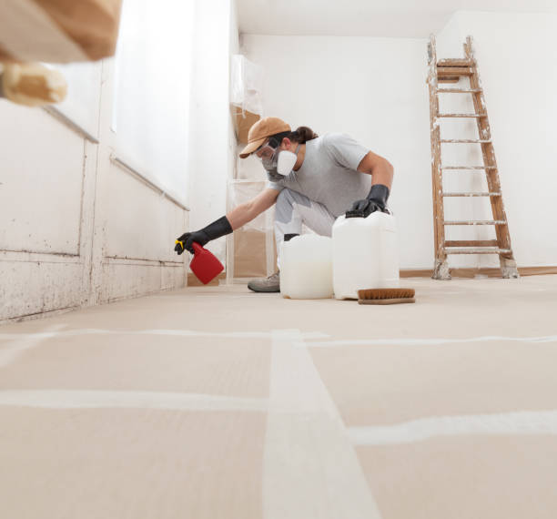 Best Attic Mold Removal  in Stallings, NC